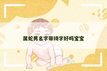属蛇男名字带琦字好吗宝宝