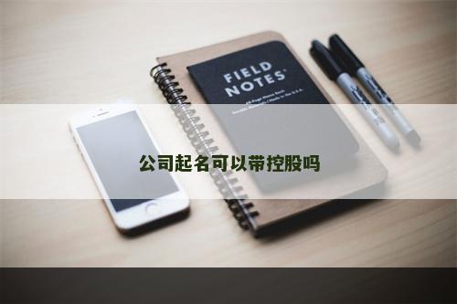 公司起名可以带控股吗