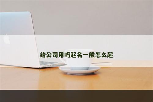 给公司用吗起名一般怎么起