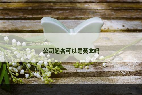 公司起名可以是英文吗