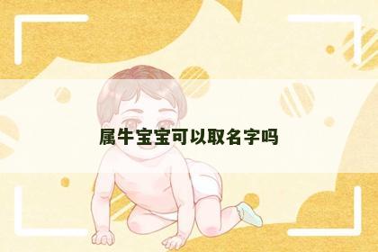 属牛宝宝可以取名字吗