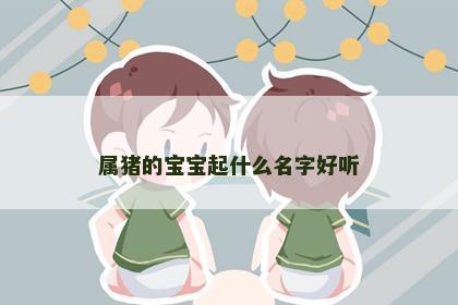 属猪的宝宝起什么名字好听