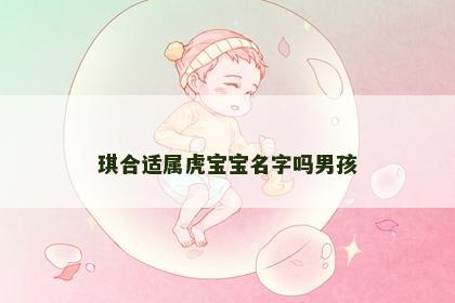 琪合适属虎宝宝名字吗男孩