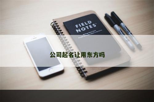 公司起名让用东方吗