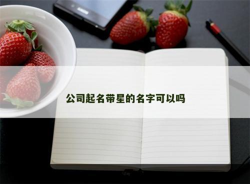 公司起名带星的名字可以吗