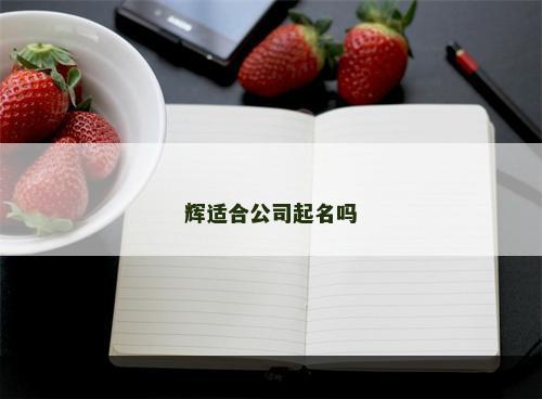 辉适合公司起名吗