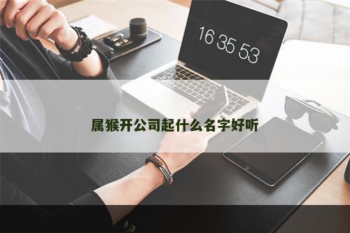 属猴开公司起什么名字好听