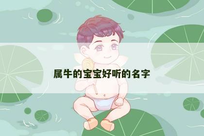 属牛的宝宝好听的名字