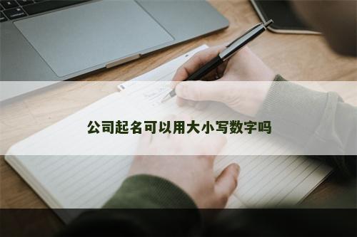 公司起名可以用大小写数字吗