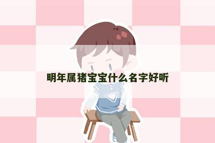 明年属猪宝宝什么名字好听
