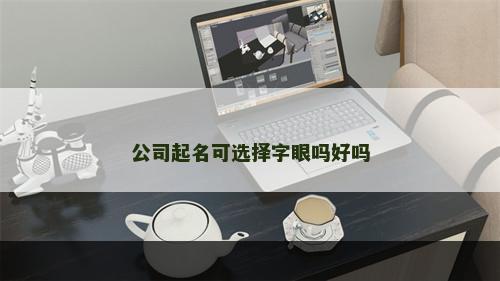 公司起名可选择字眼吗好吗