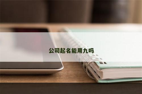 公司起名能用九吗