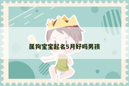 属狗宝宝起名5月好吗男孩