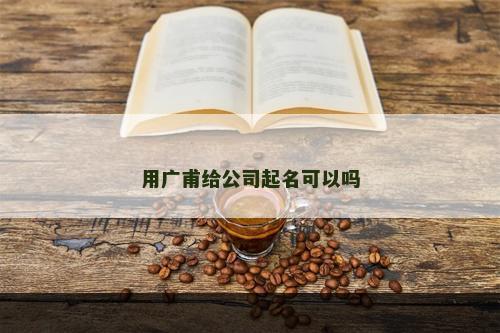 用广甫给公司起名可以吗