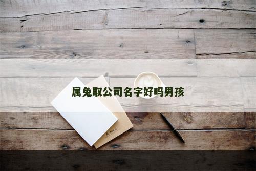 属兔取公司名字好吗男孩