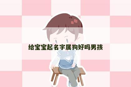 给宝宝起名字属狗好吗男孩