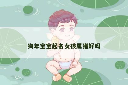 狗年宝宝起名女孩属猪好吗