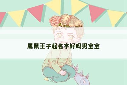 属鼠王子起名字好吗男宝宝