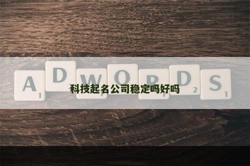 科技起名公司稳定吗好吗