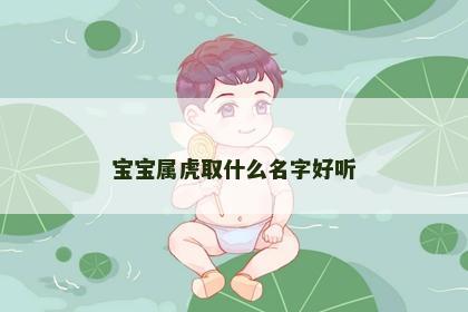 宝宝属虎取什么名字好听