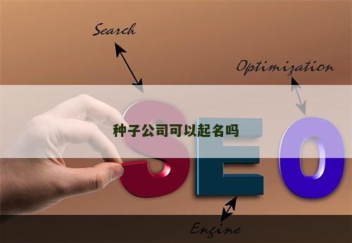 种子公司可以起名吗