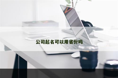 公司起名可以用省份吗