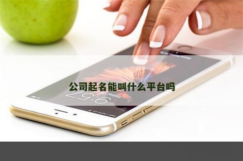公司起名能叫什么平台吗