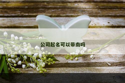 公司起名可以带南吗