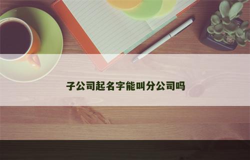 子公司起名字能叫分公司吗