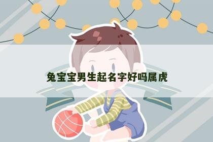 兔宝宝男生起名字好吗属虎