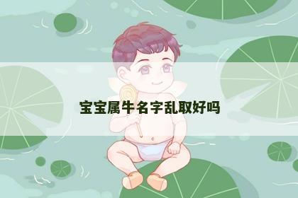 宝宝属牛名字乱取好吗