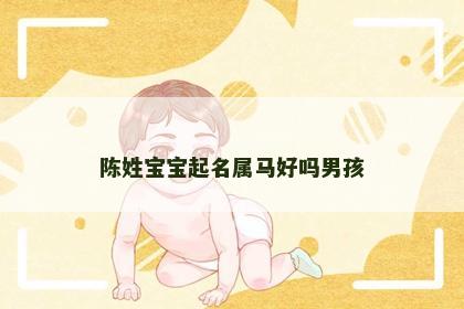 陈姓宝宝起名属马好吗男孩