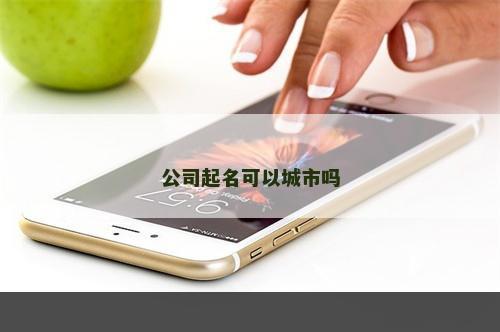 公司起名可以城市吗