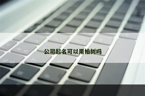 公司起名可以用柏树吗