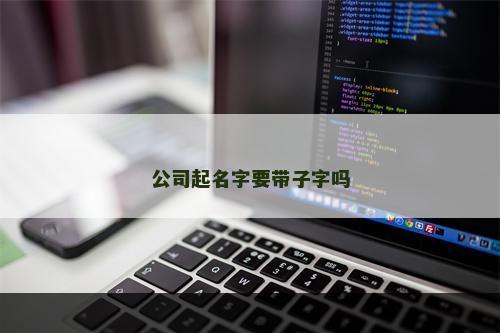 公司起名字要带子字吗