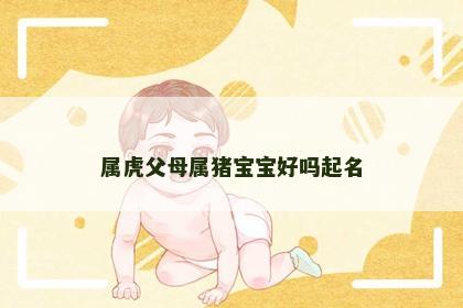 属虎父母属猪宝宝好吗起名