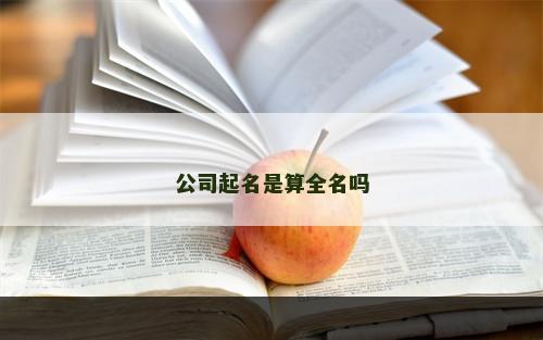 公司起名是算全名吗