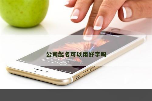 公司起名可以用妤字吗