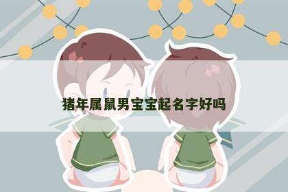 猪年属鼠男宝宝起名字好吗