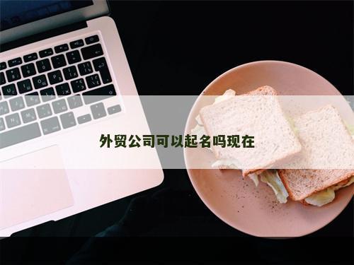 外贸公司可以起名吗现在