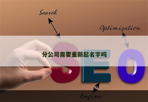 分公司需要重新起名字吗