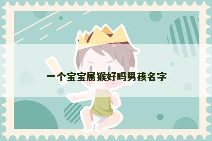一个宝宝属猴好吗男孩名字