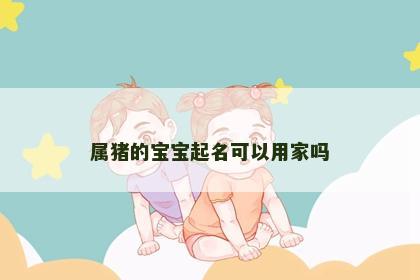 属猪的宝宝起名可以用家吗