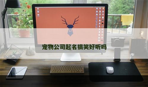 宠物公司起名搞笑好听吗