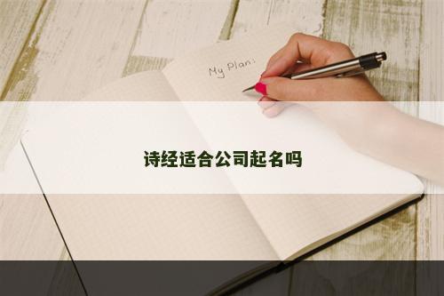 诗经适合公司起名吗