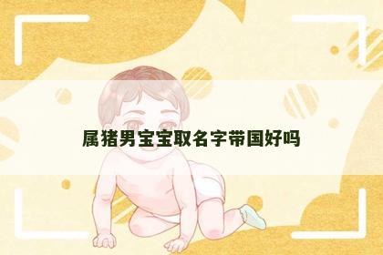 属猪男宝宝取名字带国好吗