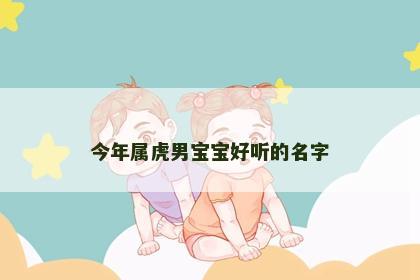 今年属虎男宝宝好听的名字