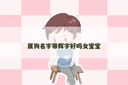 属狗名字带辉字好吗女宝宝
