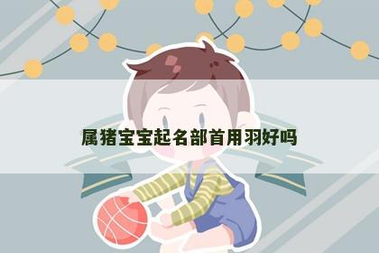 属猪宝宝起名部首用羽好吗