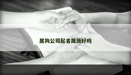 属狗公司起名晟源好吗